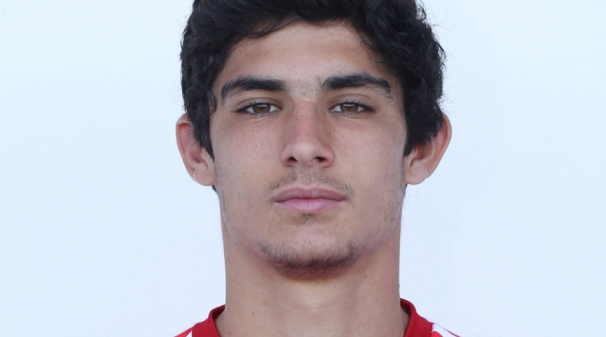 Gonçalo Guedes