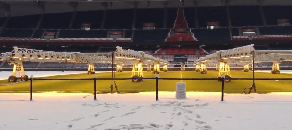 Pelouse parc des Princes